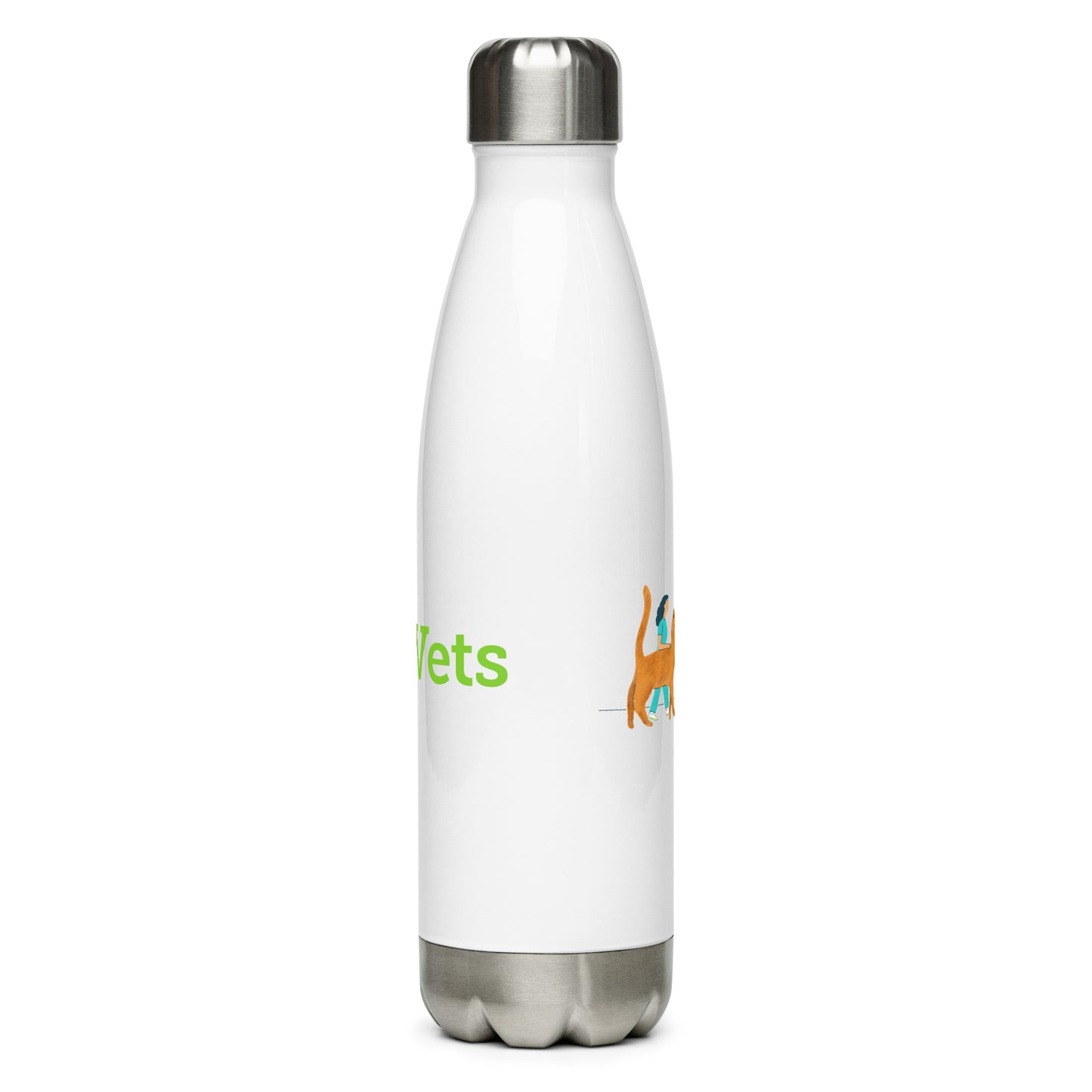 Stainless Steel Water Bottle