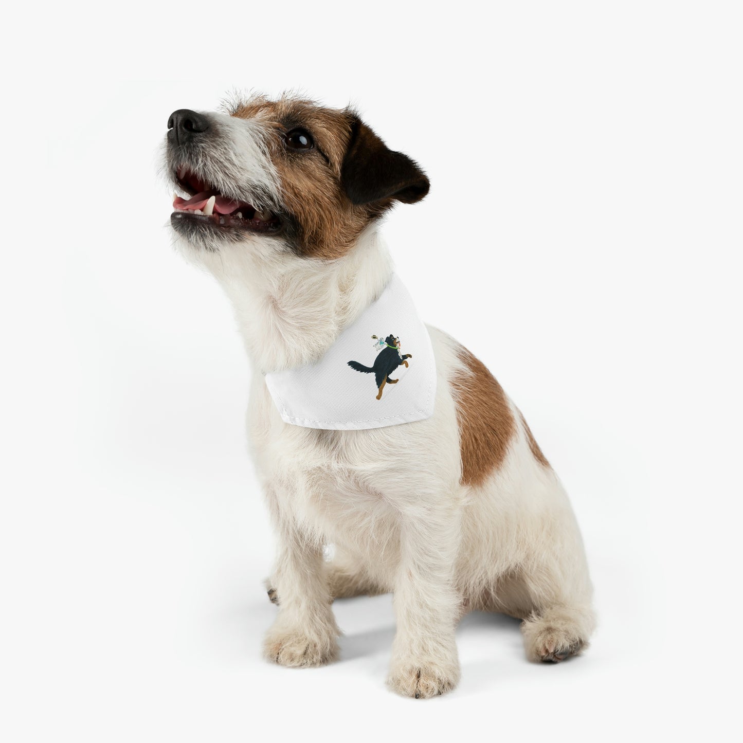 Pet Bandana Collar (Rodeo)